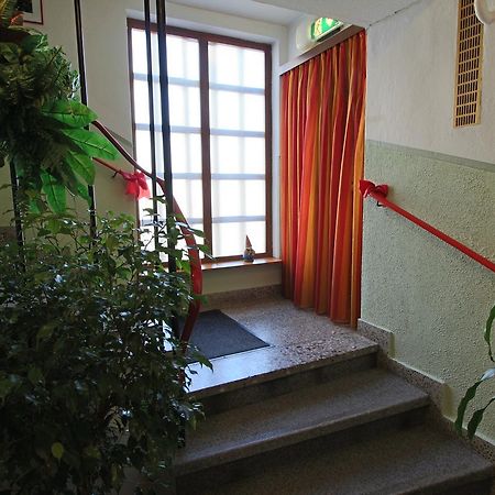 Hotel Pension Leiner Нойзидл ам Зее Екстериор снимка